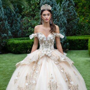 New Formal Quinceanera Gown w/ Floral Applique Details & Beads Embroidery GL3528